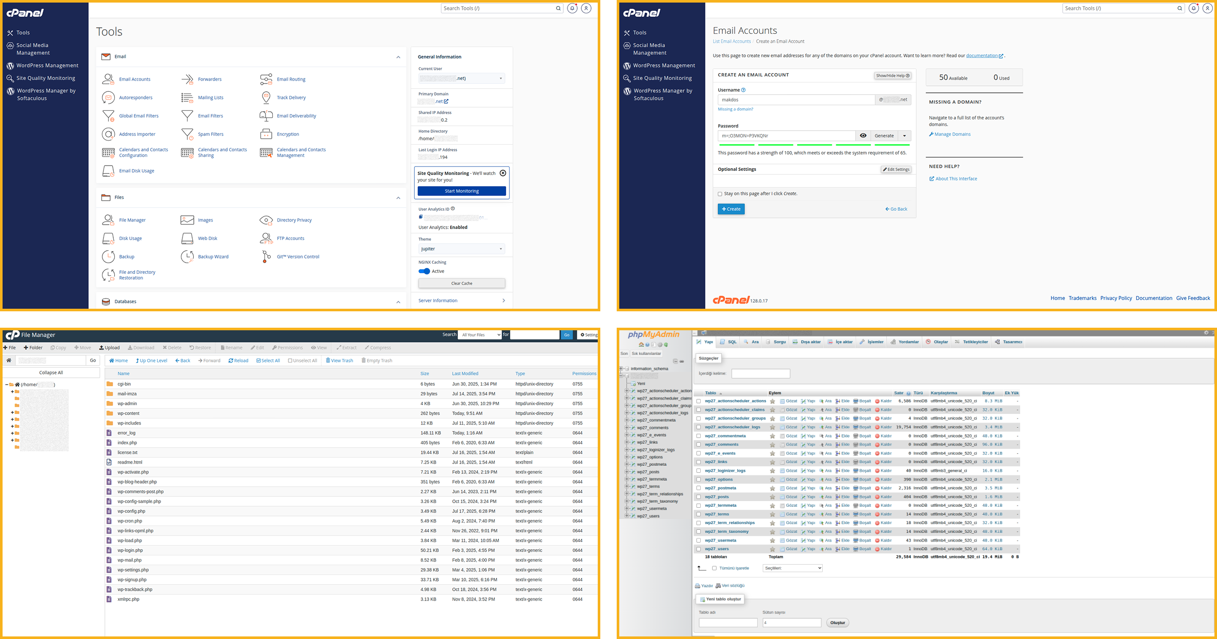 cPanel hosting user interface dashboard