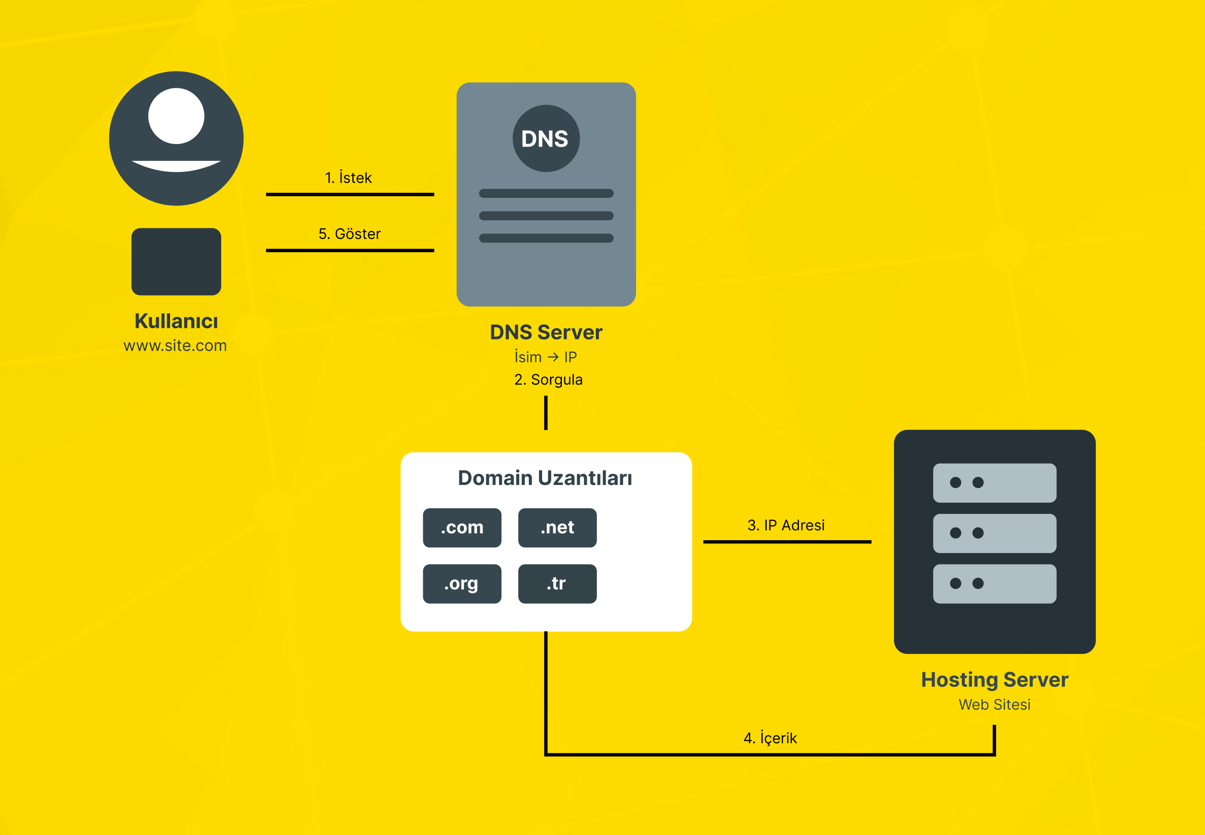 DNS, domain extensions, and hosting relationship.