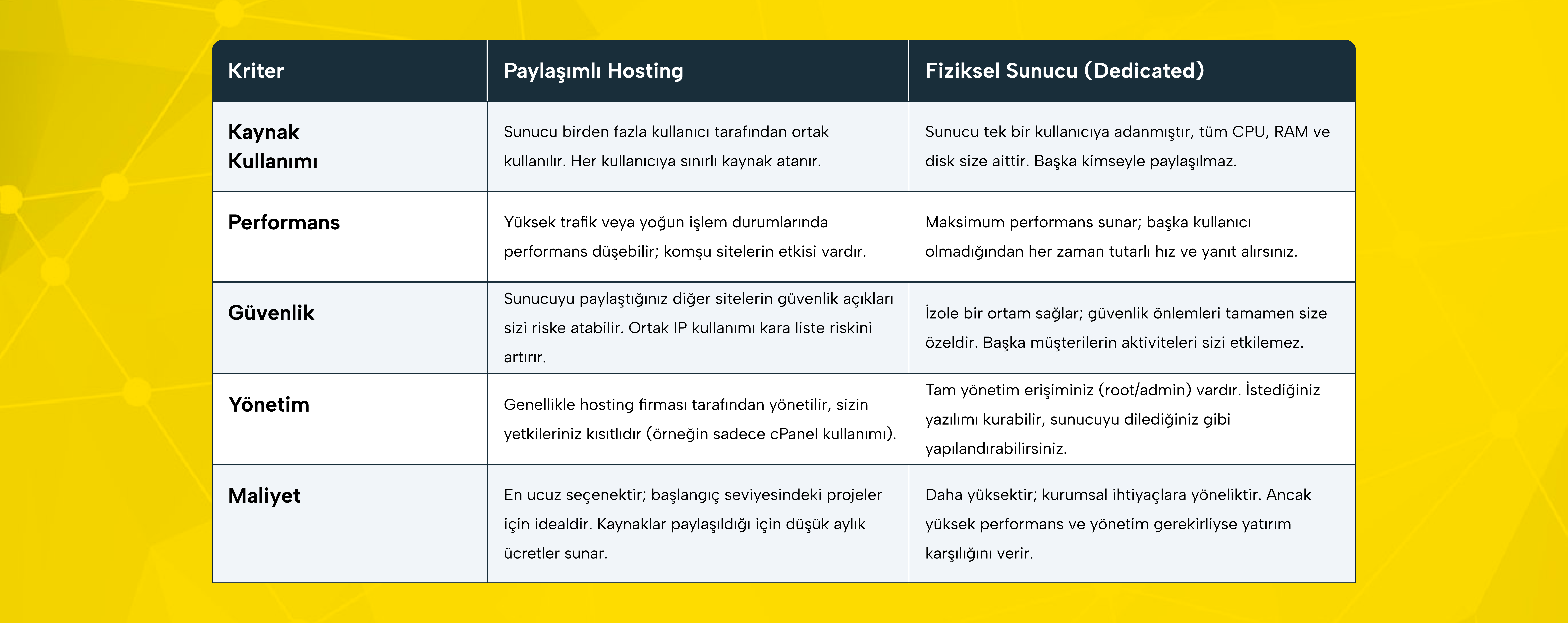 Hosting ile fiziksel sunucu kiralamanın bazı kritik farkları