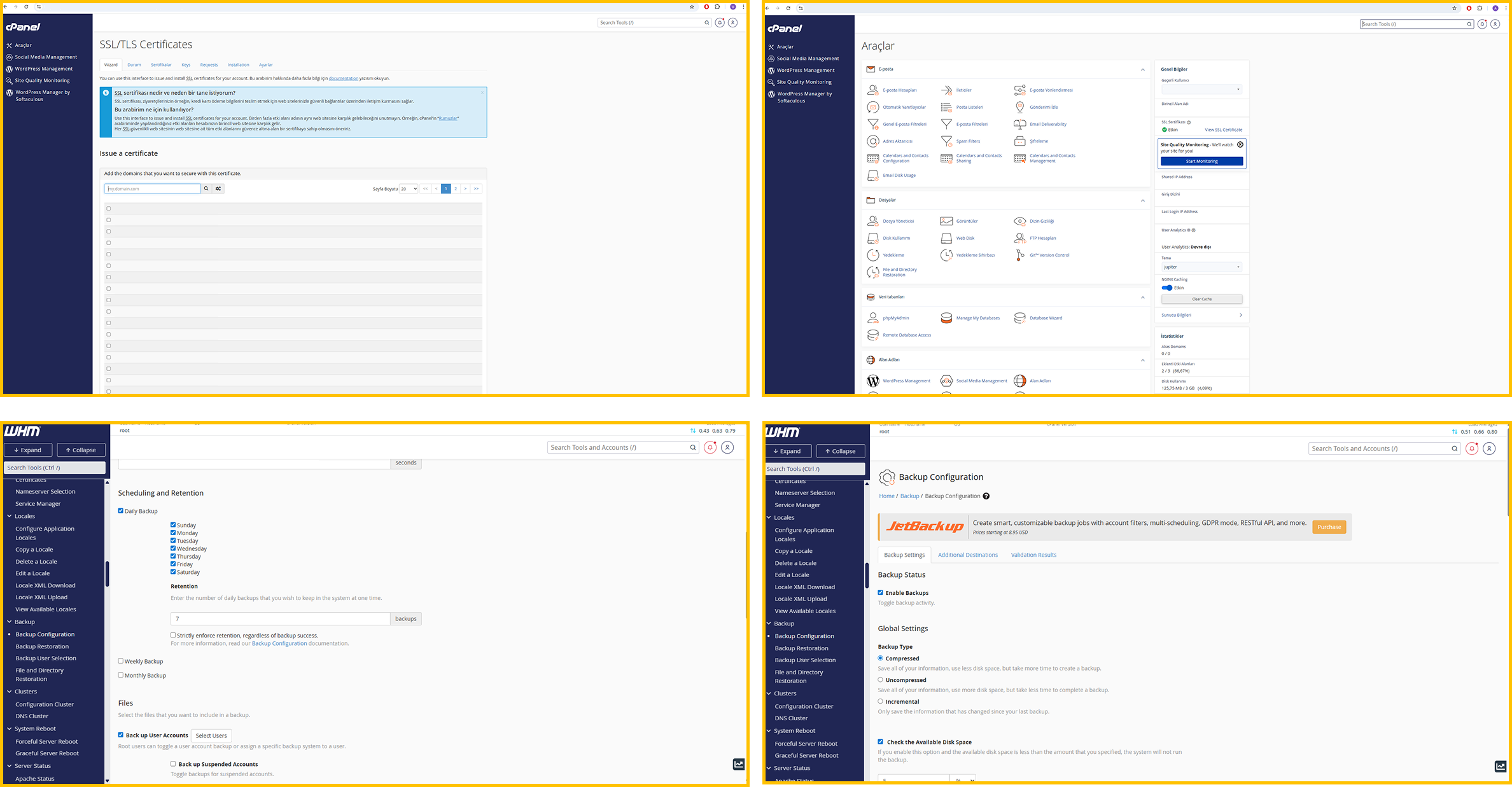 Hosting management panel showing domain name, SSL, email, and backup processes.