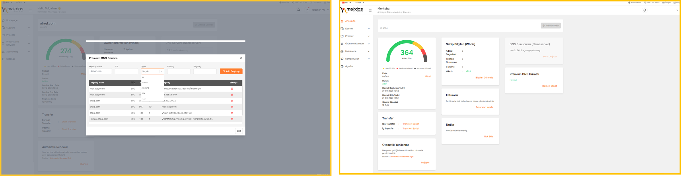 Makdos control panel showing domain and hosting management in a single dashboard